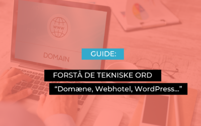 Forstå forskellen på Domæne, Webhotel og WordPress